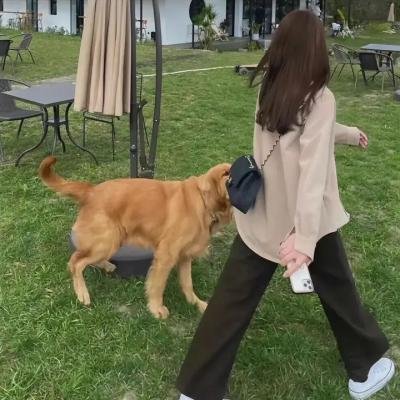 十六号病房